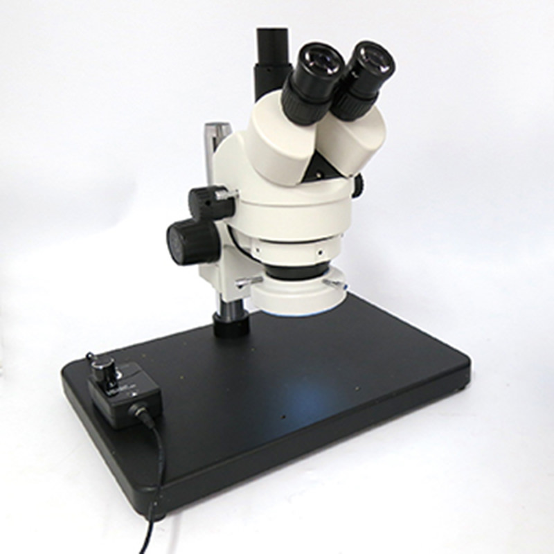 Kính hiển vi Shodensha YM0745-T3LG