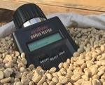 Độ ẩm an toàn của cà phê thóc là bao nhiêu? Bảo quản thế nào?