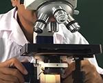 5+ Kỹ thuật tăng độ tương phản trong kính hiển vi