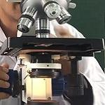 Hướng dẫn lấy nét tự động cho kính hiển vi quang học