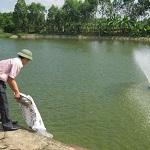 Đo độ đục của nước trong ao nuôi trồng thủy sản