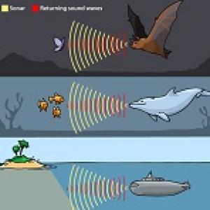 Sự tăng cường hiệu quả sóng siêu âm truyền tốt nhất trong môi trường nào ?