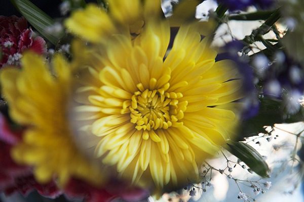 Chụp ảnh với hiệu ứng kính lúp Chụp ảnh với hiệu ứng kính lúp