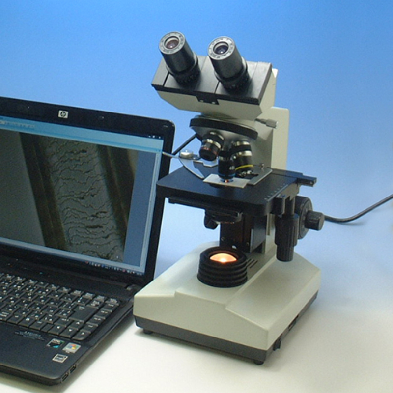 Shodensha GR-D8T2 sử dùng đèn halogen giúp điều chỉnh ánh sáng