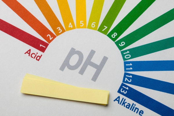 đo pH bằng giấy quỳ