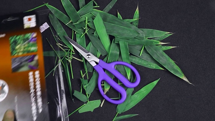 Kéo cắt cành Fujiya AGS-025