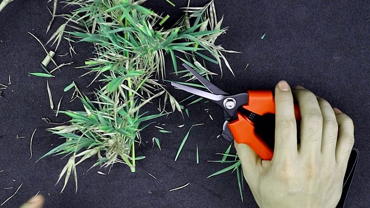 Kéo cắt cành Fujiya AGS-035