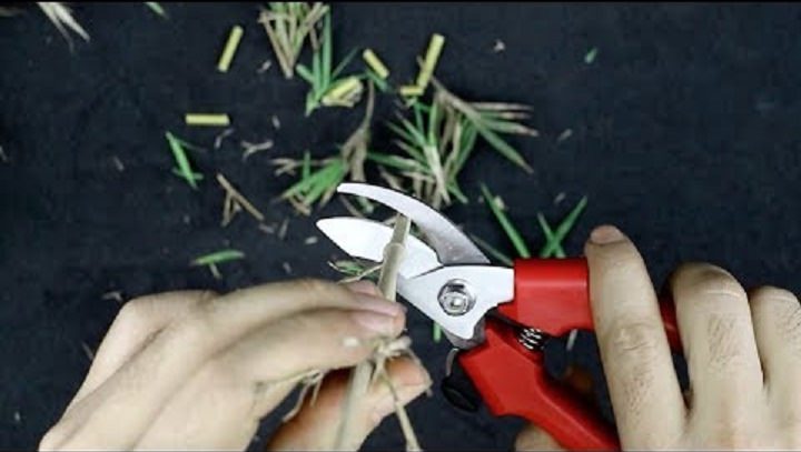 Kéo cắt cành Fujiya AGS-037