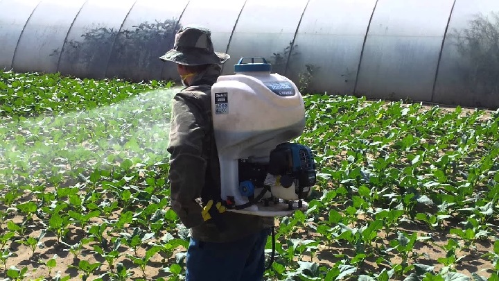 Máy phun thuốc chạy xăng Makita EVH2000