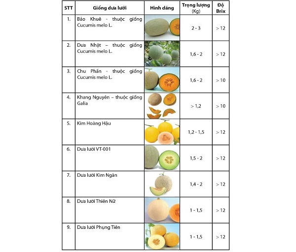 Bảng chỉ số độ ngọt của các loại dưa lưới