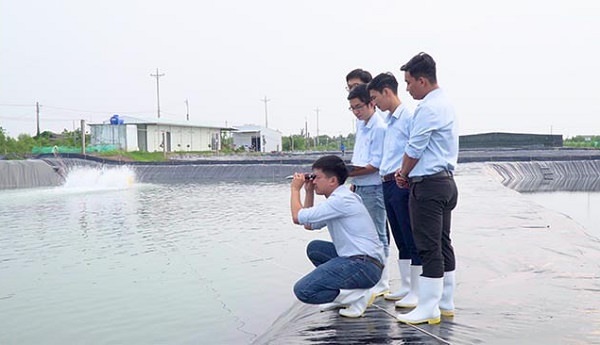 Khúc xạ kế Atago dùng trong đo độ mặn của nước nuôi trồng thủy sản