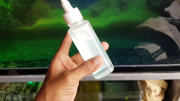 Sử dụng thuốc diệt tảo xanh hồ cá