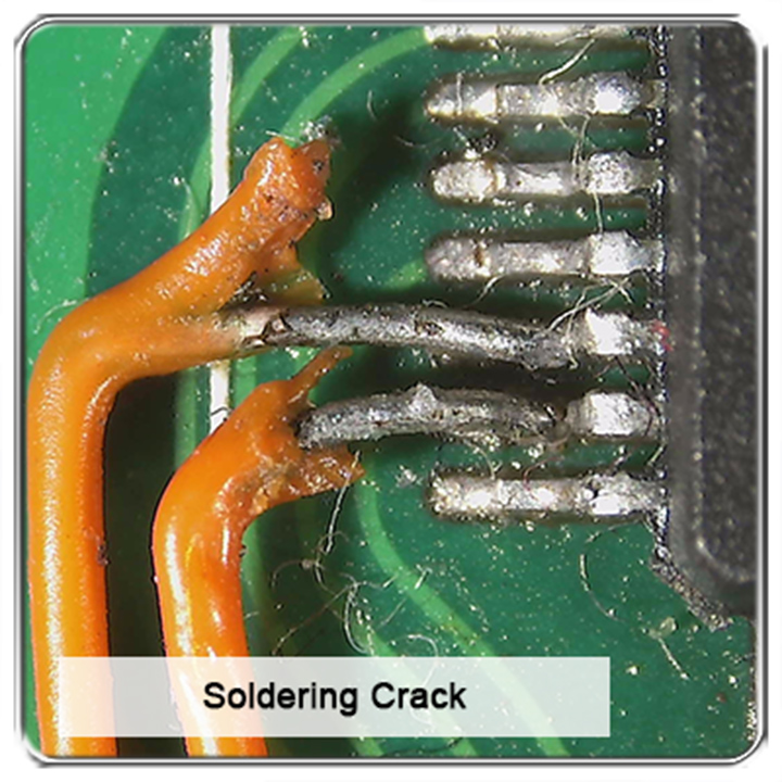 Hình ảnh vật quan sát dưới kính hiển vi UM20-GN