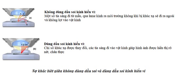 Sự khác biệt giữa không dùng dầu soi và dùng dầu soi kính hiển vi