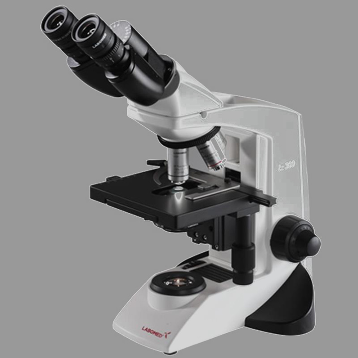 hình ảnh kính hiển vi lx300