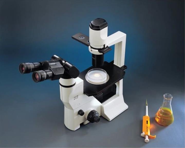 Hình ảnh chụp gần kính hiển vi Labomed TCM 400