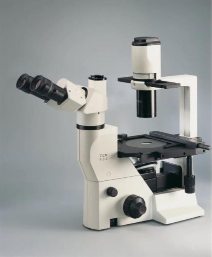 ảnh chụp kính hiển vi sinh học Labomed TCM 400