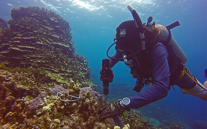 Máy vặn bu lông dưới nước Nemo