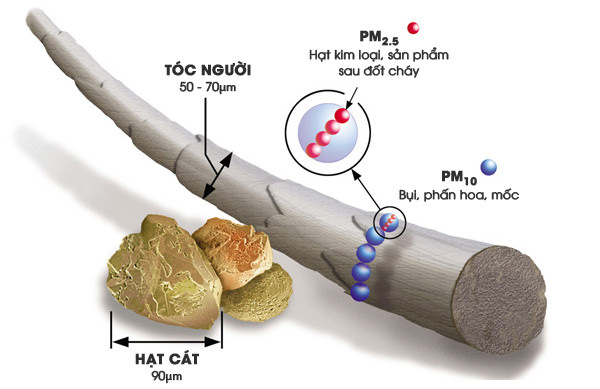 Hình ảnh mô phỏng bụi mịn