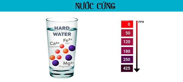 Nước cứng do chứa nhiều Ca++ và Mg++