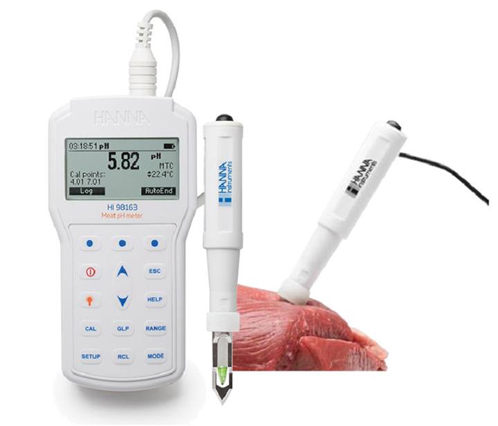 Máy đo pH/Nhiệt độ HI98163 Máy đo pH/Nhiệt độ HI98163