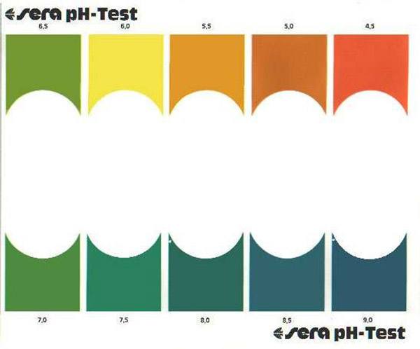 Thang màu của bộ sản phẩm PH test