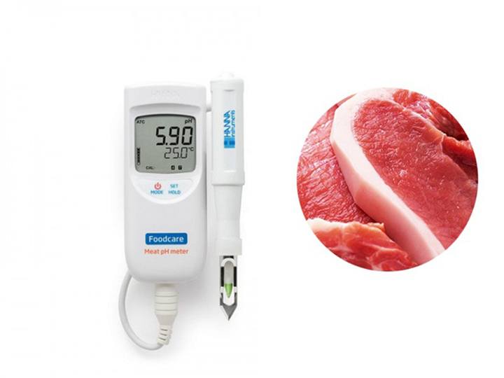 Máy đo pH Hanna HI99163 chính hãng