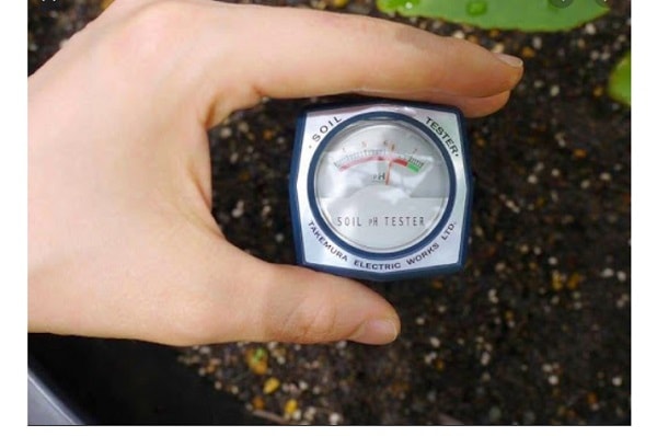 Takemura DM15 đo độ pH và độ ẩm đất
