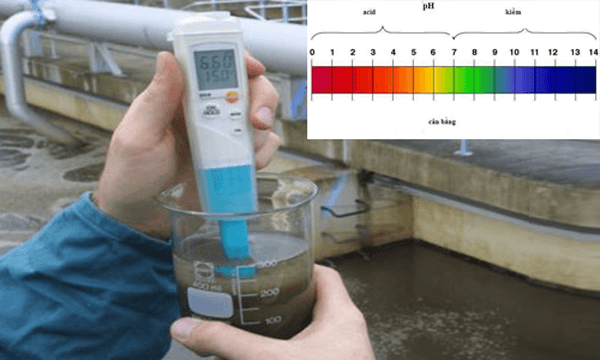 Kiểm tra độ pH trong nước