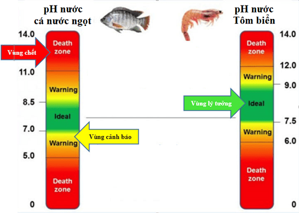 Tại sao cần đo nồng độ pH trong ao nuôi tôm, cá