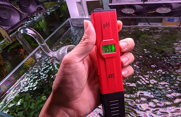 Sử dụng máy đo pH để kiểm tra độ pH trong hồ thủy sinh