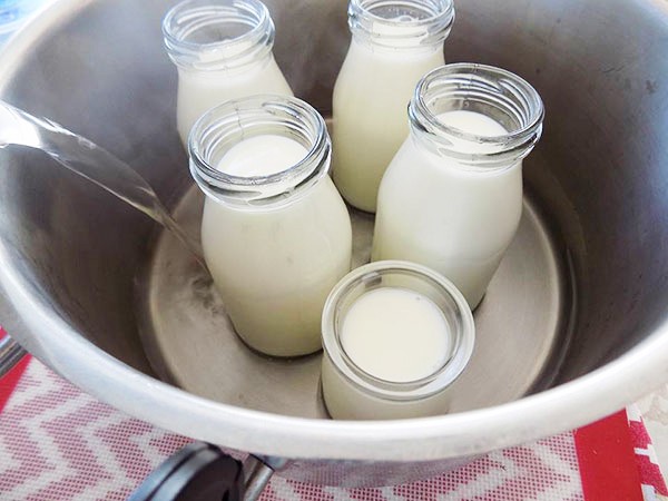 Nhiệt độ ủ sữa chua bằng nồi cơm điện