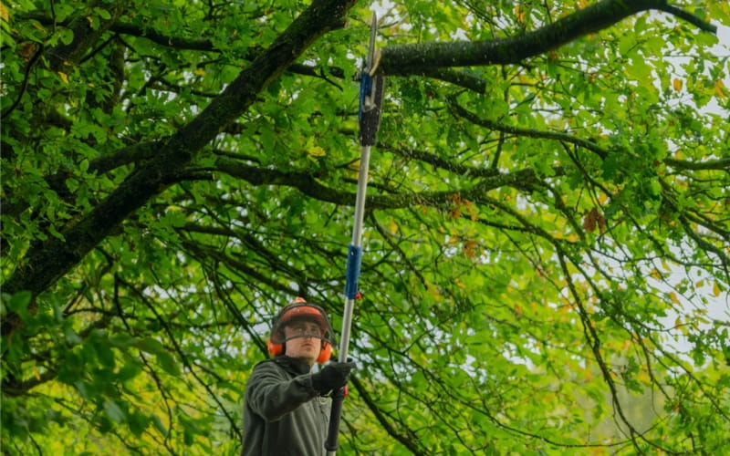 Bosch GKE 18V-25T BT cắt tỉa cành cây trên cao nhanh chóng và an toàn 