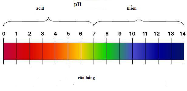 Độ PH trong nước ở ngưỡng an toàn là 6-8,5