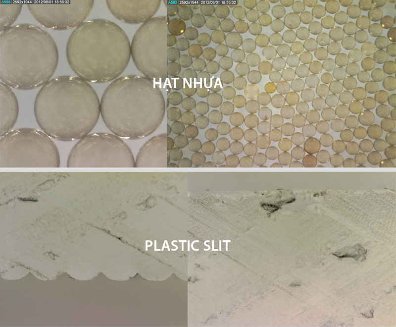 ứng dụng của kính hiển vi AM7013MT