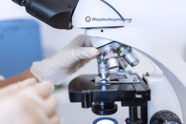 Hiệu chuẩn kính hiển vi theo đúng quy trình để đảm bảo độ chính xác khi quan sát