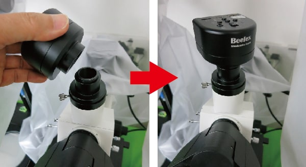 Cách lắp camera cho kính hiển vi dễ thực hiện Cách lắp camera cho kính hiển vi dễ thực hiện