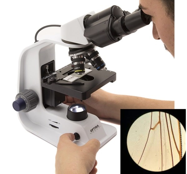 Hướng dẫn cách lấy vi trường kính hiển vi đơn giản Hướng dẫn cách lấy vi trường kính hiển vi đơn giản