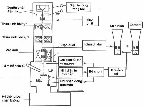 Cấu tạo của kính hiển vi điện tử quét SEM