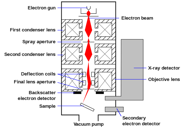 Nguyên lý hoạt động kính hiển vi điện tử quét