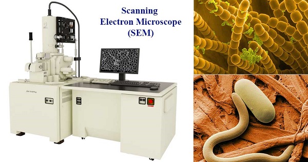Nguyên tắc tạo hình ảnh kính hiển vi điện tử SEM