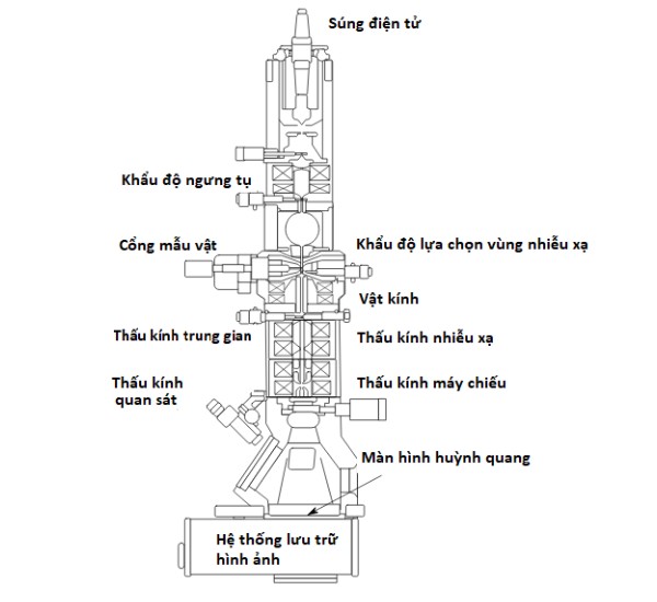 Một số bộ phận chính của kính hiển vi điện tử TEM 