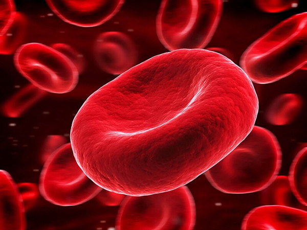 Giảm độ nhớt trong máu giúp cải thiện sức khỏe của bạn