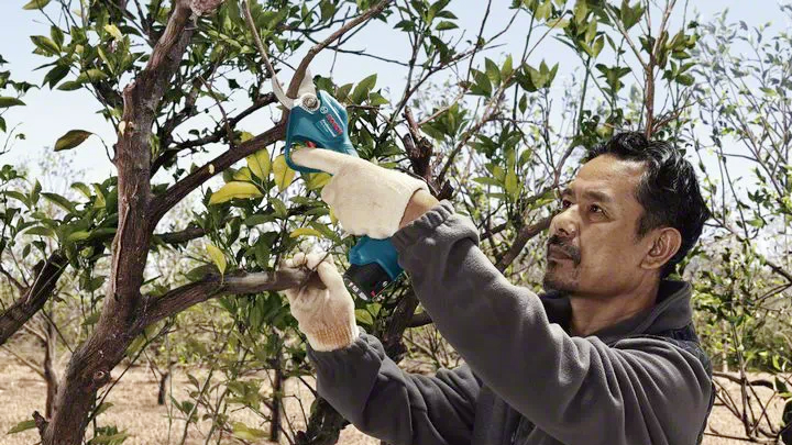 Bosch Pro Pruner có thiết kế nhỏ gọn, linh động, dễ dàng sử dụng Bosch Pro Pruner có thiết kế nhỏ gọn, linh động, dễ dàng sử dụng