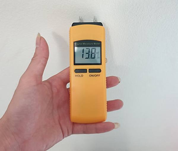 Hình ảnh máy đo độ ẩm tường EM-4806