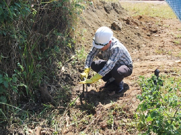 Cách lấy mẫu đất vườn để kiểm tra độ mặn