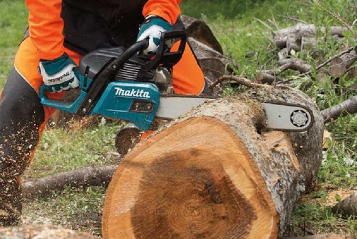 Máy cưa xích Makita EA5600F53EX được dùng phổ biến để cưa cắt thân cây